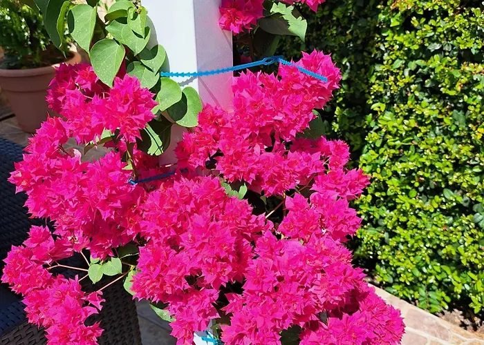 Σπίτι διακοπών Mariamar *