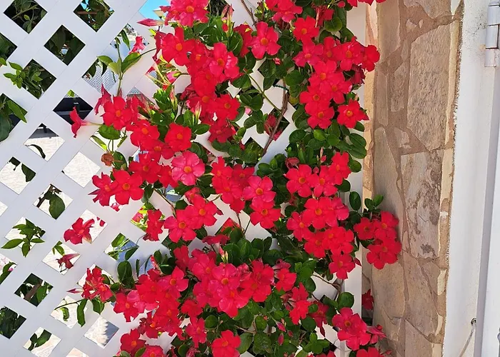 Σπίτι διακοπών Mariamar