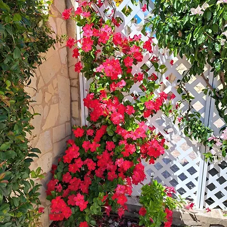 Mariamar Villa